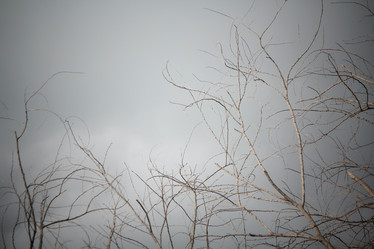 Similar image 9239995