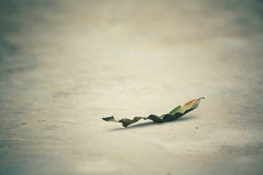 Similar image 9239999