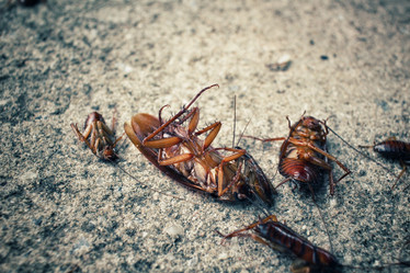 Similar image 9240006