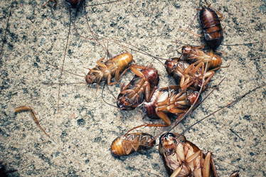 Similar image 9240010