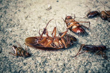 Similar image 9240012