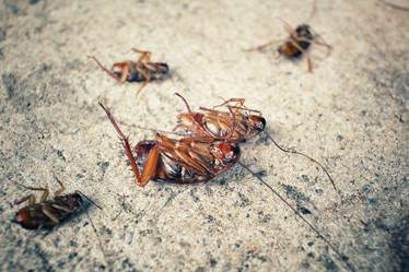 Similar image 9240014