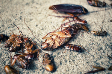 Similar image 9240097