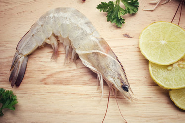 Similar image 9240108