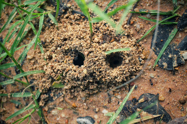 Similar image 9240241