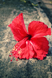 Similar image 9240251