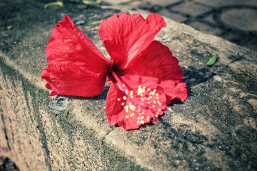 Similar image 9240258