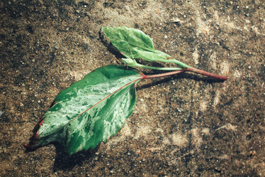 Similar image 9240260