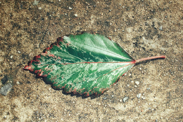 Similar image 9240265