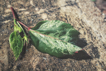 Similar image 9240268