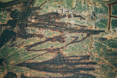 Similar image 9240274