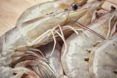 Similar image 9240327