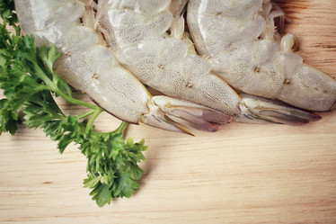 Similar image 9240337