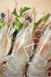 Similar image 9240342