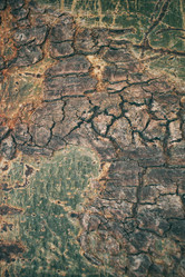 Similar image 9240341