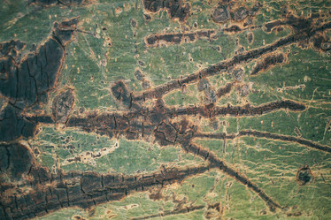 Similar image 9240347