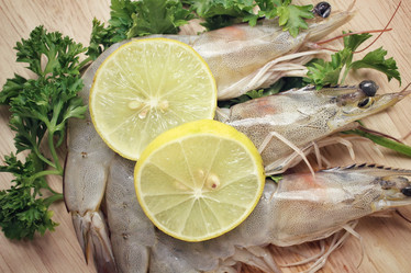 Similar image 9240350