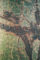 Similar image 9240354