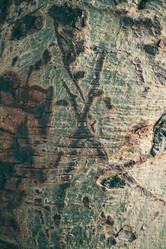 Similar image 9240365