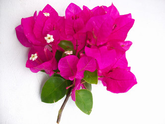 Similar image 9240368