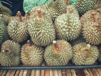 Similar image 9240373