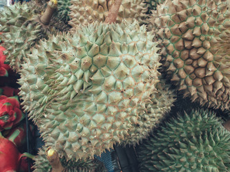 Similar image 9240376