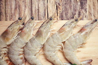 Similar image 9240375