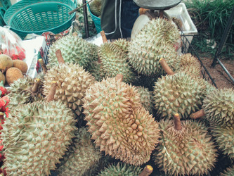 Similar image 9240379