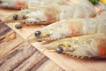 Similar image 9240381