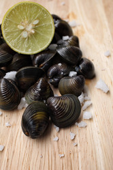 Similar image 9240434