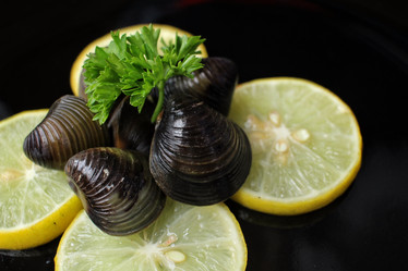 Similar image 9240438