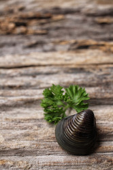 Similar image 9240440