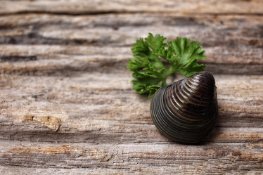 Similar image 9240441