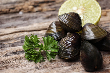 Similar image 9240448