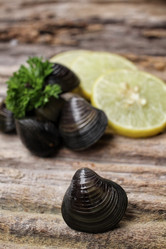 Similar image 9240449