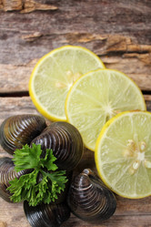 Similar image 9240452