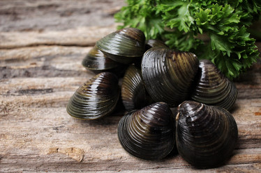 Similar image 9240454