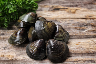 Similar image 9240456