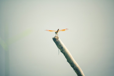 Similar image 9240462