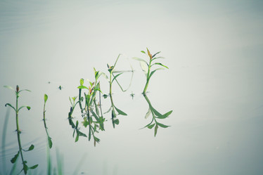 Similar image 9240464