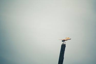 Similar image 9240466