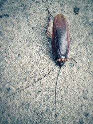 Similar image 9240520