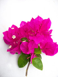 Similar image 9240543