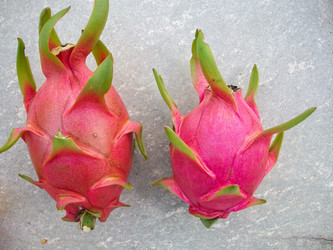 Similar image 9240545
