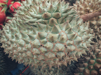 Similar image 9240548