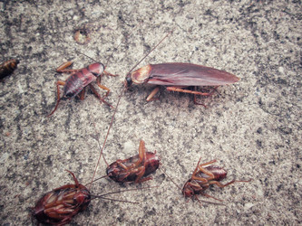 Similar image 9240557