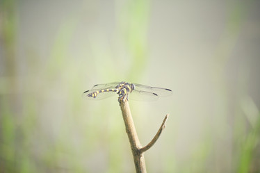 Similar image 9240598