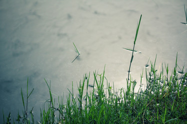 Similar image 9240600