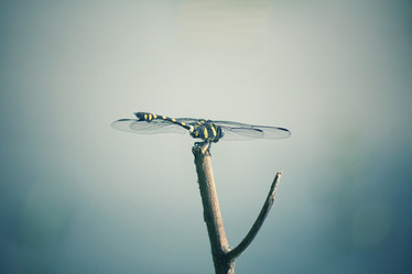 Similar image 9240604