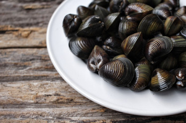 Similar image 9240651